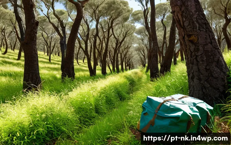 Desastres Naturais? Sua Viagem Off-Grid NUNCA Mais Será a Mesma com Estas Dicas Chave! 4 자연 재해에 대비한 오프그리드 여행 준비 관련 이미지 2